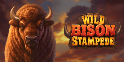 Wild Bison Stampede