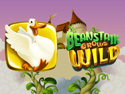 Beanstalk Grows Wild