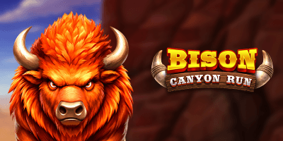 Bison - Canyon Run