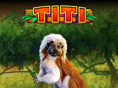 Titi