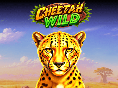 Cheetah Wild