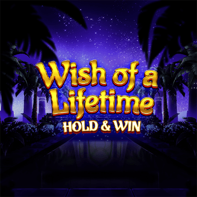 Wish of a Lifetime: Hold & Win