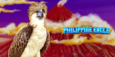 Philipine Eagle