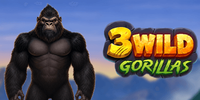 3 Wild Gorillas