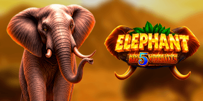 Eelephant - Big 5 Fireballs