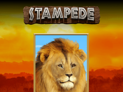 Stampede