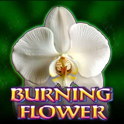 Burning Flower
