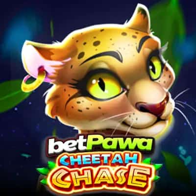 Cheetah Chase