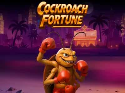 Cockroach Fortune