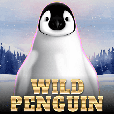 Wild Penguin