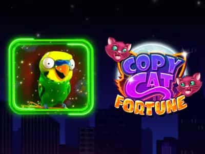 Copy Cat Fortune