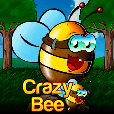 Crazy Bee