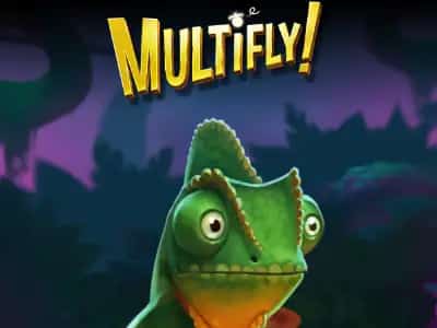 MultiFly!
