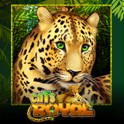 Cats Royal