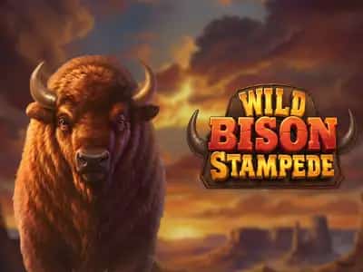 Wild Bison Stampede