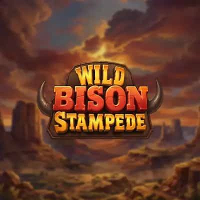 Wild Bison Stampede