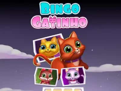 Bingo Gatinho