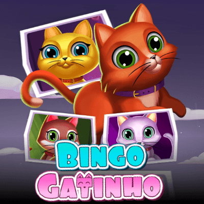 Bingo Gatinho