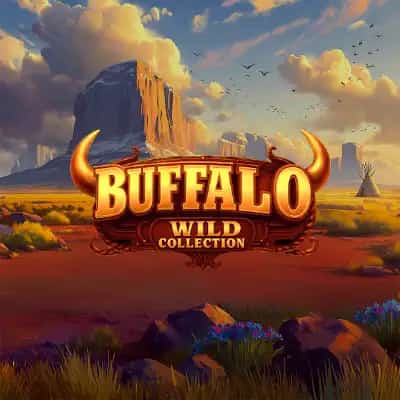 Buffalo Wild Collection