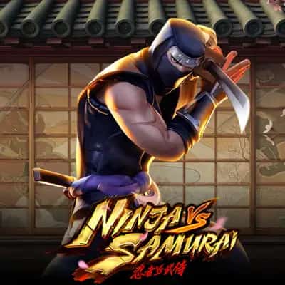 Ninja vs Samurai