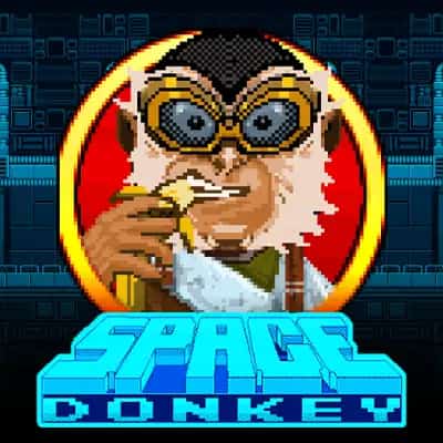 Space Donkey