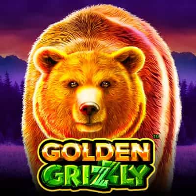 Golden Grizzly