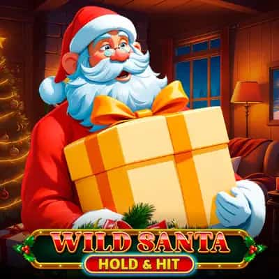 Wild Santa - Hold & Hit