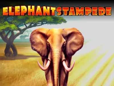 Elephant Stampede