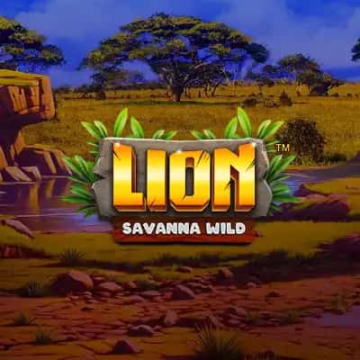Lion Savanna Wild