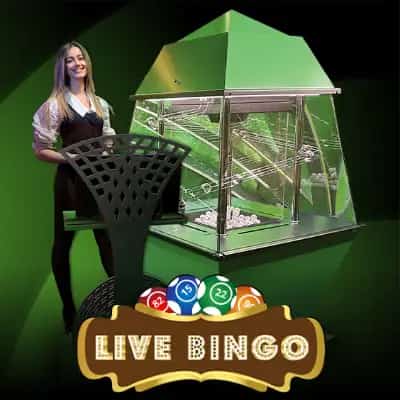 Live Bingo Earth Room