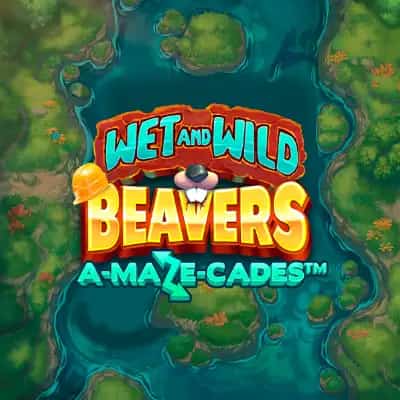 Wet and Wild Beavers