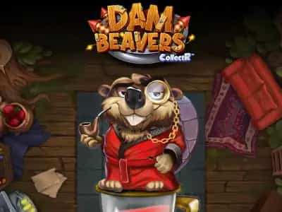 Dam Beavers