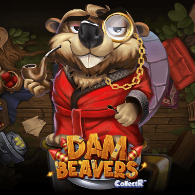 Dam Beavers