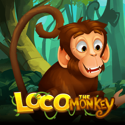 Loco the Monkey