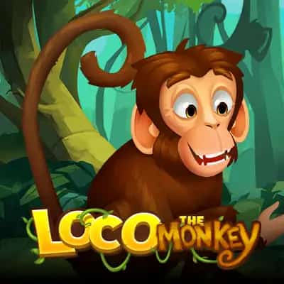 Loco the Monkey