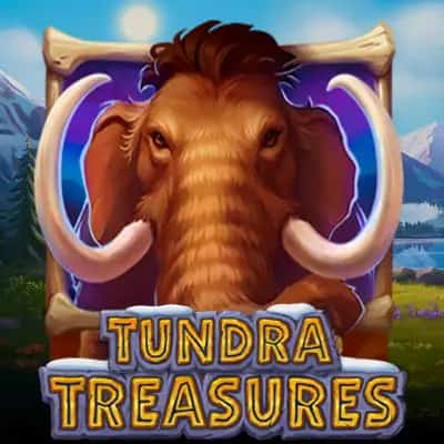 Tundra Treasures