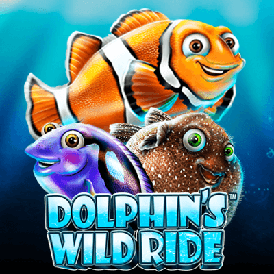 Dolphins Wild Ride