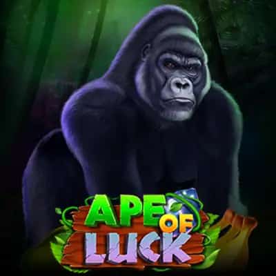 Ape of Luck Gods & Kings Link