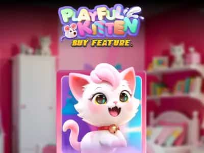 Playful Kitten Buy Feature