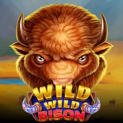 Wild Wild Bison