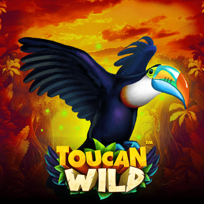 Toucan Wild