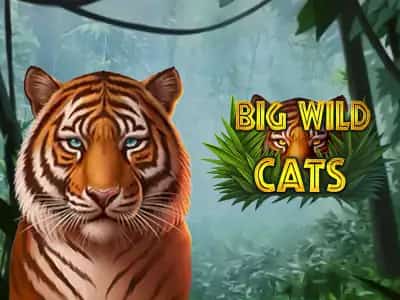 Big Wild Cats