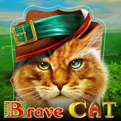 Brave Cat