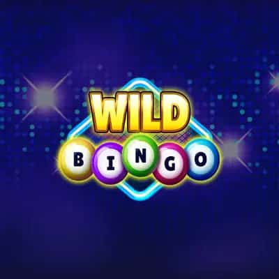 Wild Bingo