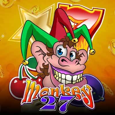 Monkey 27