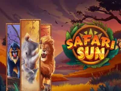 Safari Sun