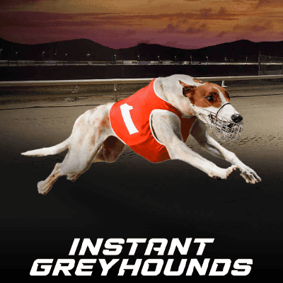 Instant Greyhounds