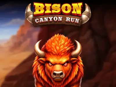 Bison - Canyon Run