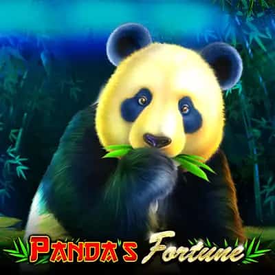 Panda's Fortune