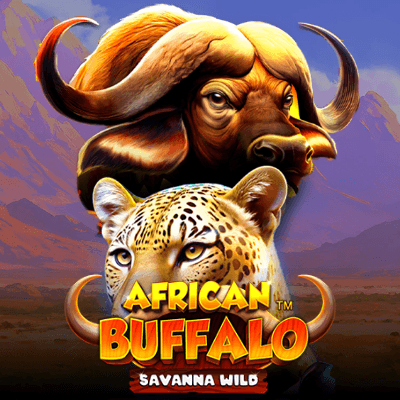 African Buffalo Savanna Wild